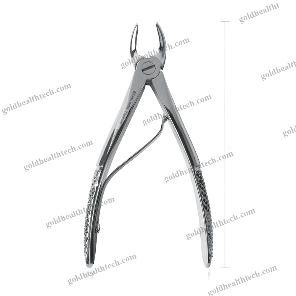 Veterinary Dental Extraction Forceps