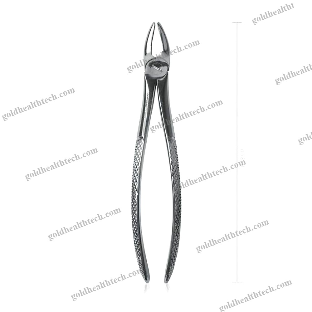 Veterinary Dental Extraction Forceps