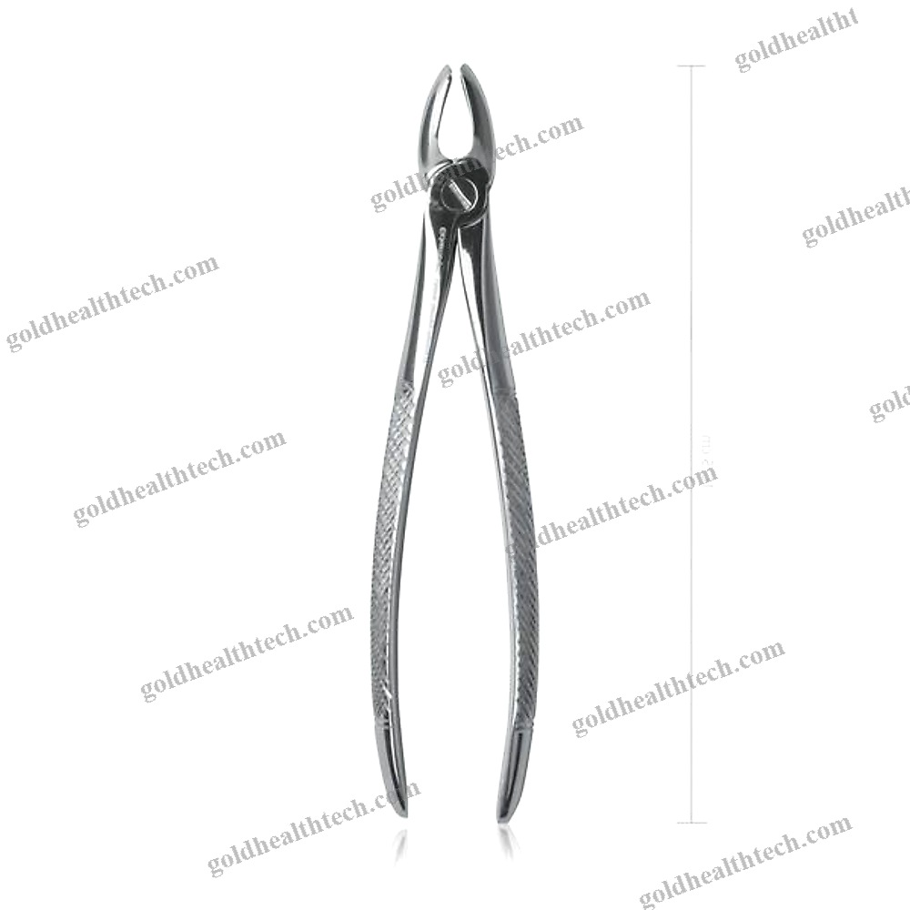 Veterinary Dental Extraction Forceps