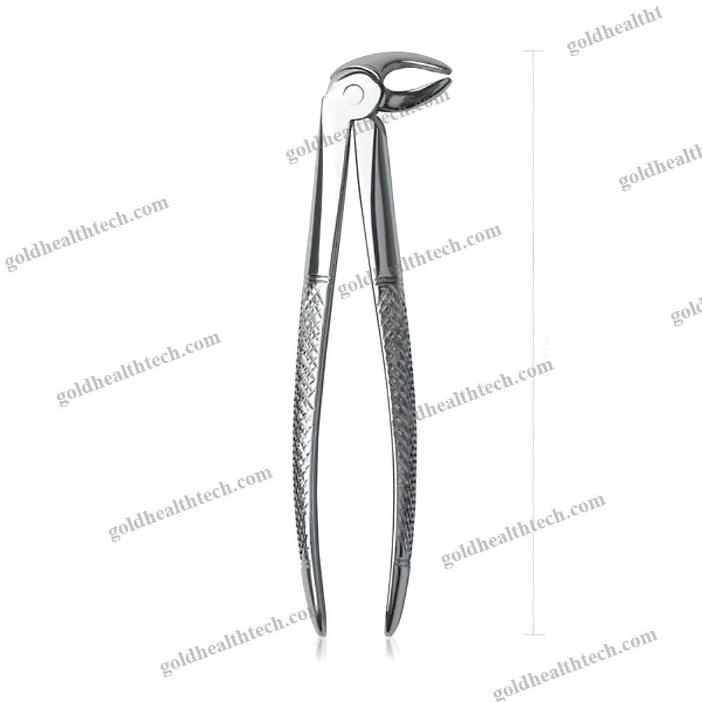 Veterinary Dental Extraction Forceps