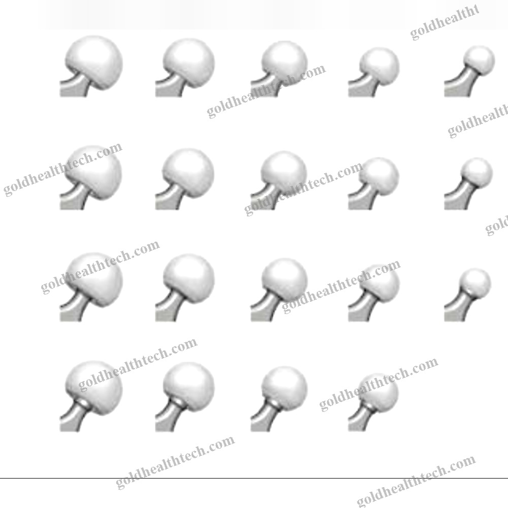 Femoral Head Prosthesis
