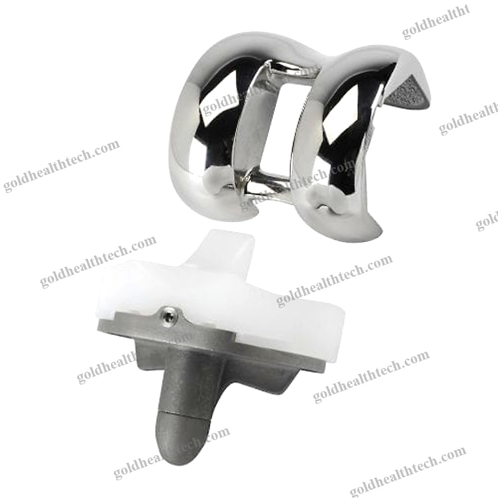 Total Knee Prosthesis