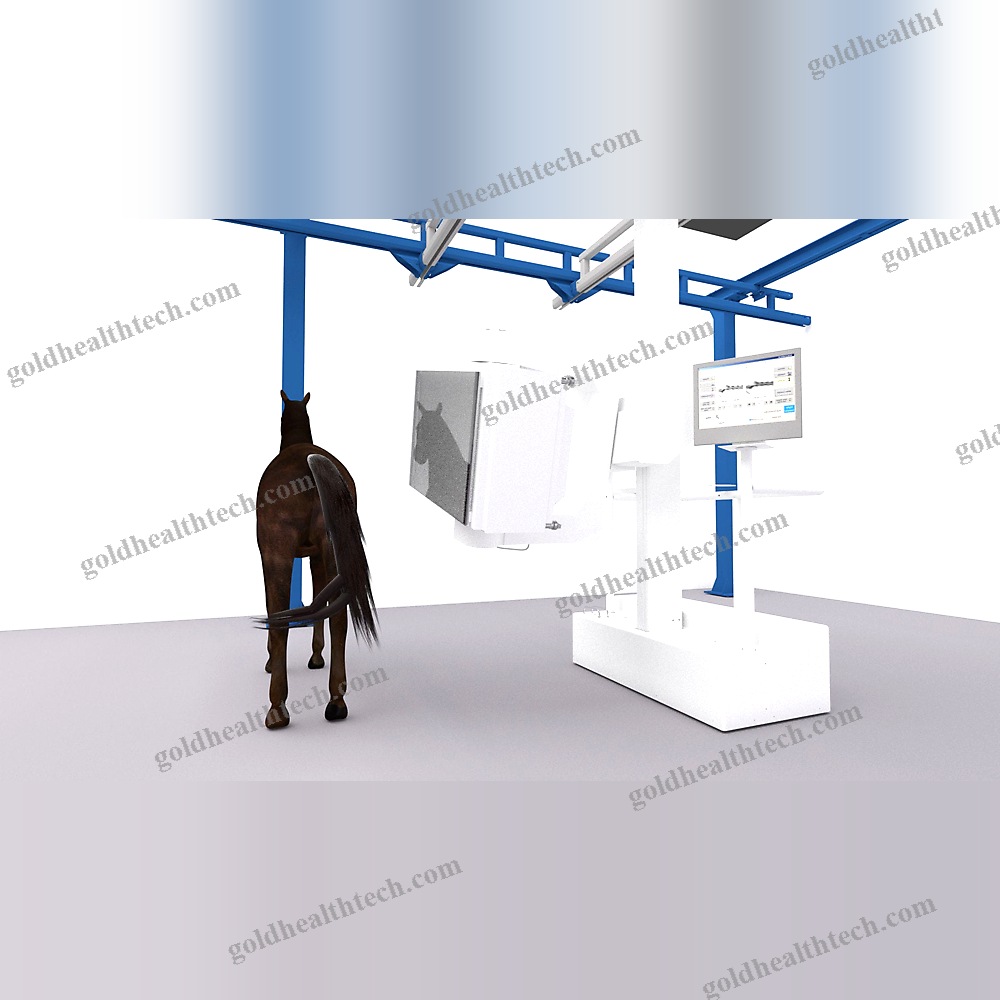Veterinary Ct Scanner