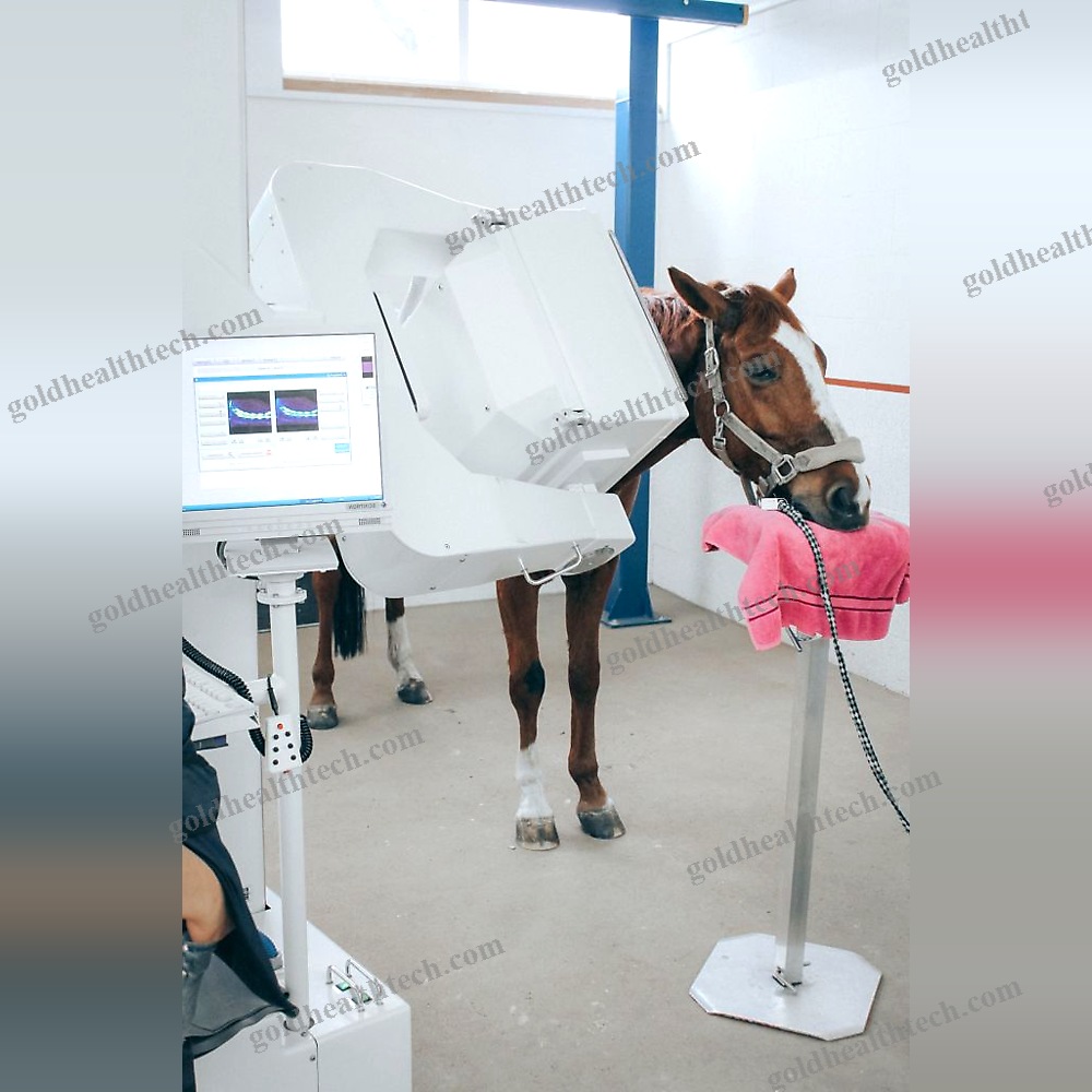 Veterinary Ct Scanner