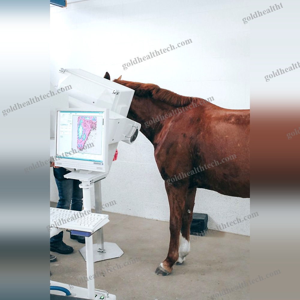 Veterinary Ct Scanner
