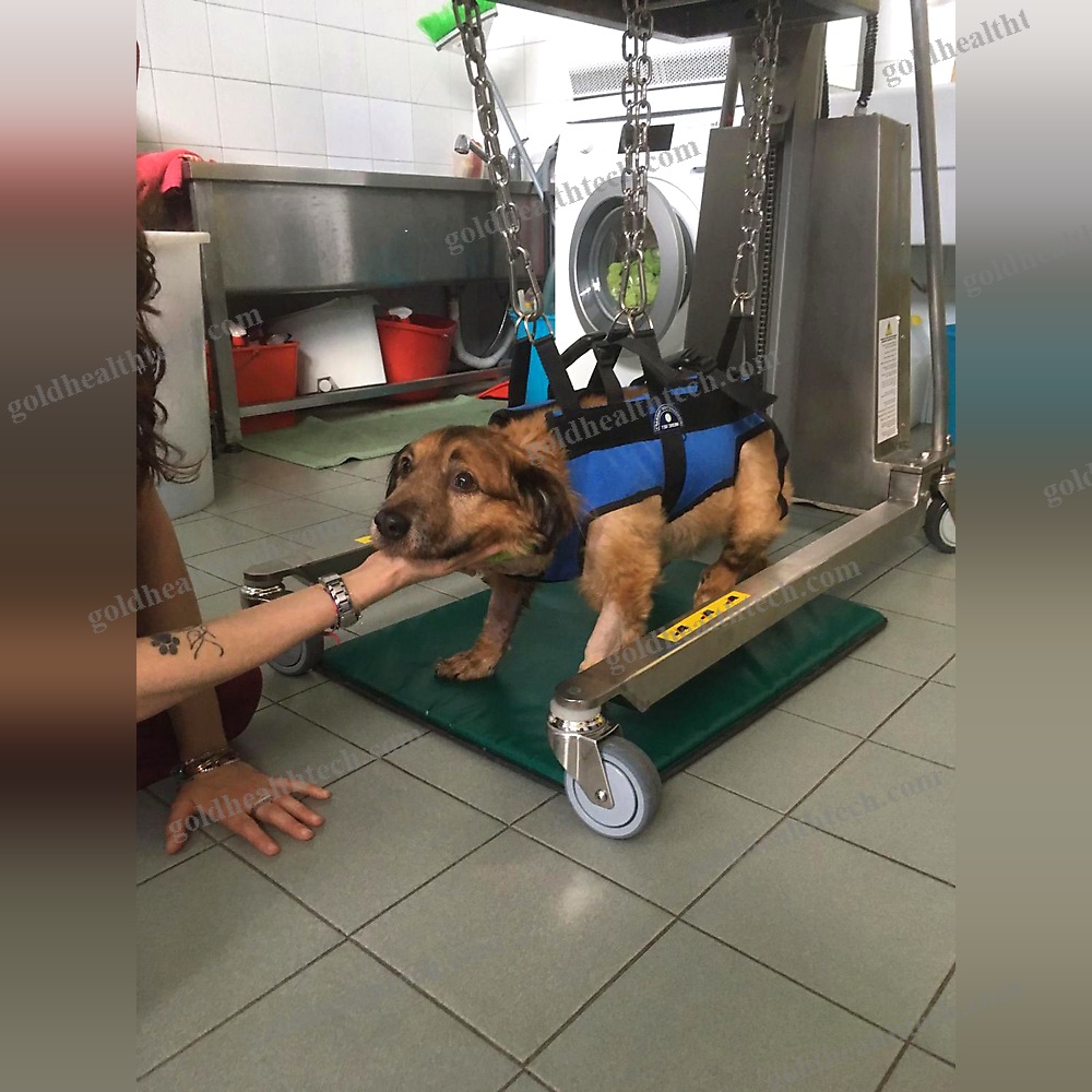 Sterilization Trolley
