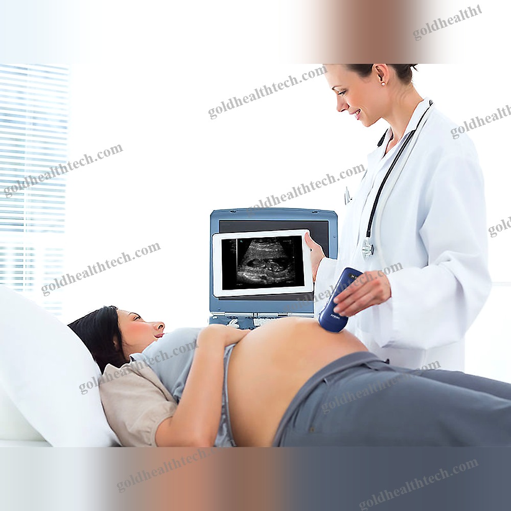 Hand-Held Ultrasound System