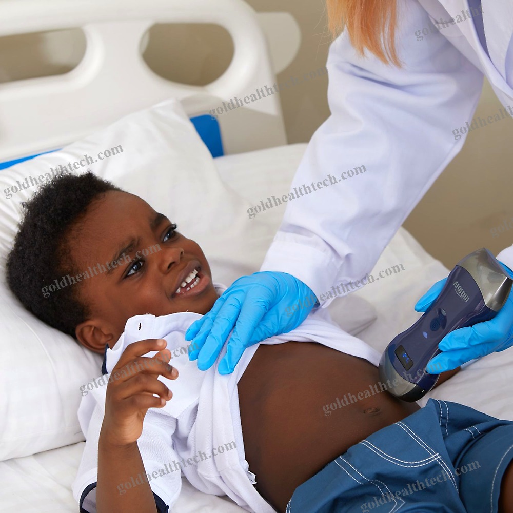 Hand-Held Ultrasound System