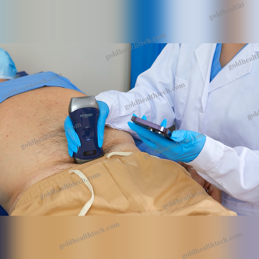 Hand-Held Ultrasound System