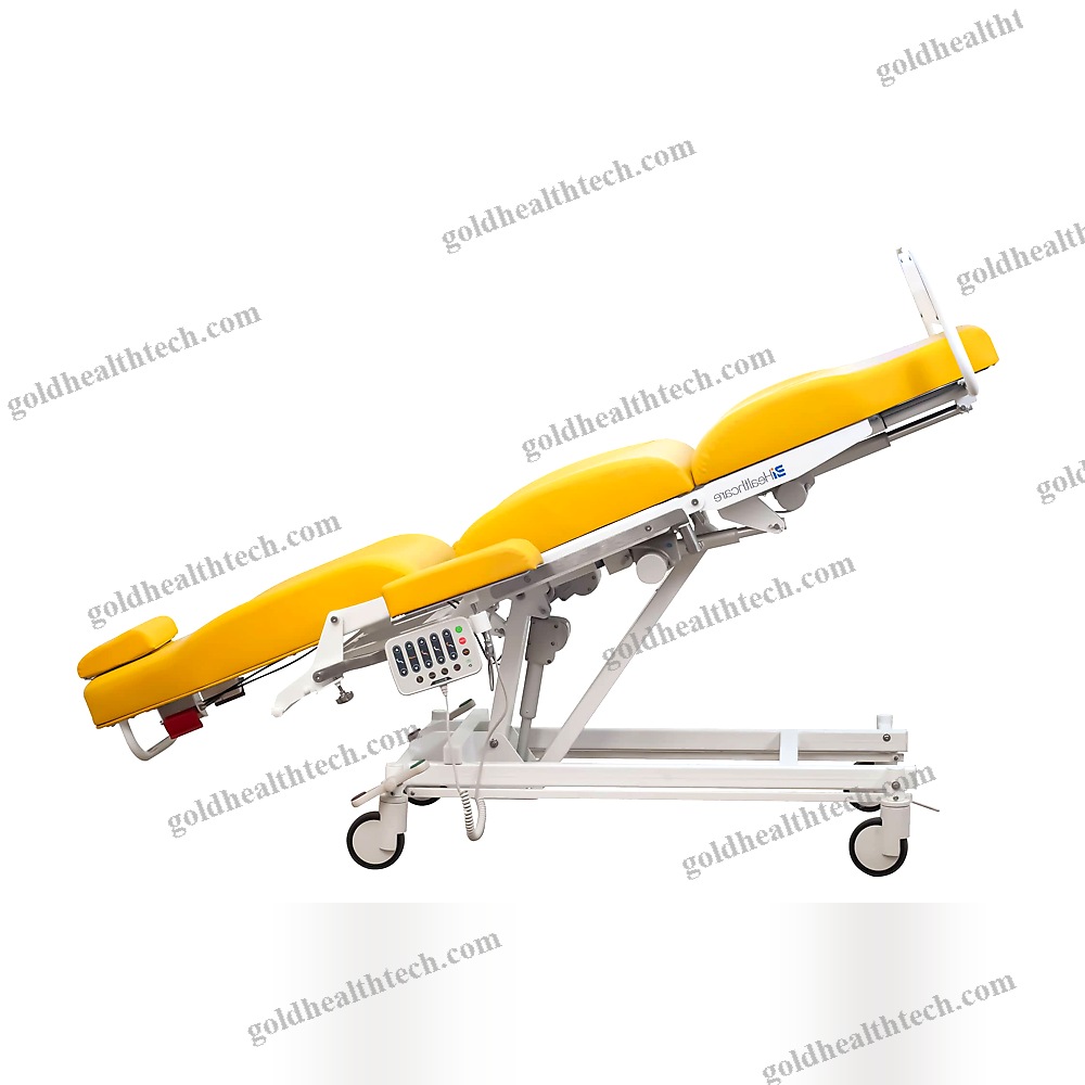 Electric Dialysis Chair