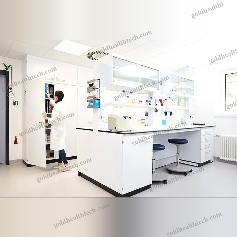 Laboratory Sink