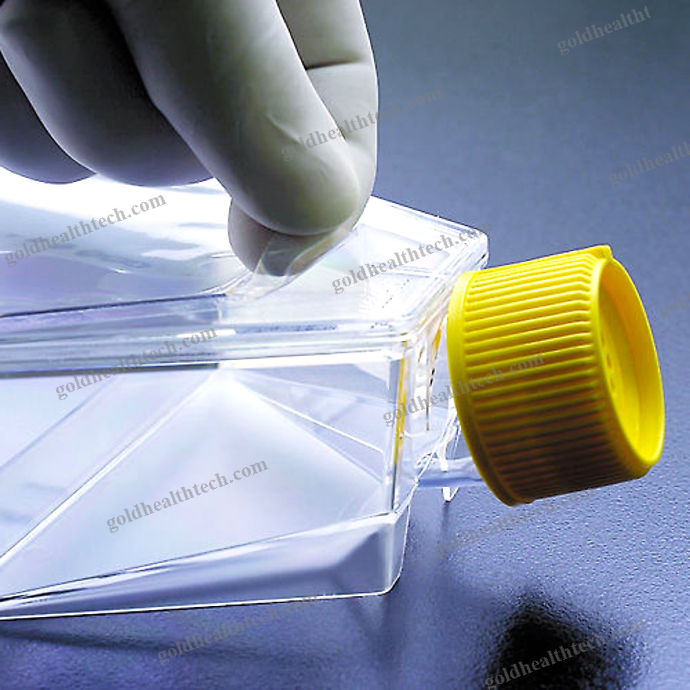 Tissue Culture Flask