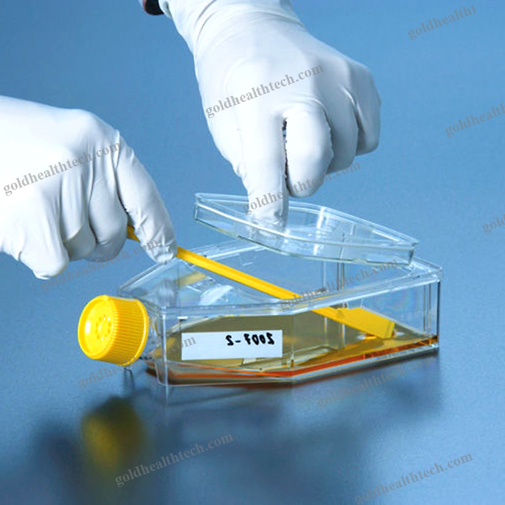 Tissue Culture Flask