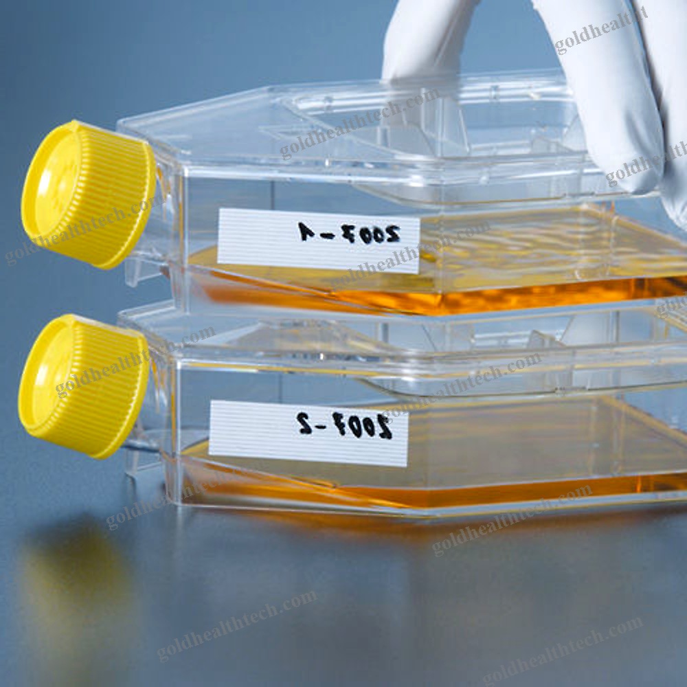 Tissue Culture Flask