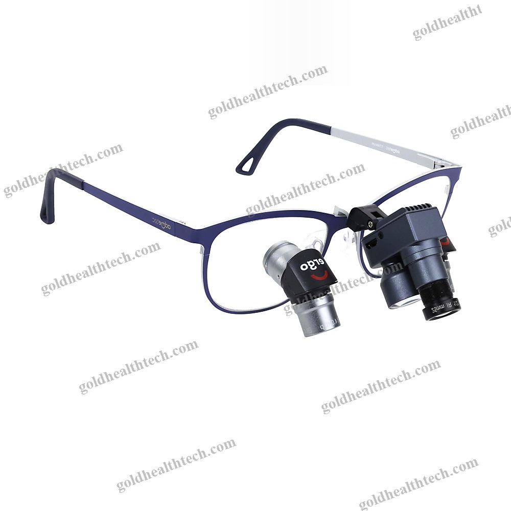 Headband Magnifier Camera