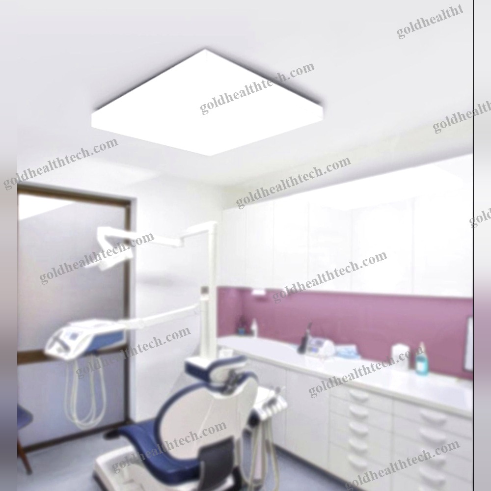 Ceiling-Mounted Lighting