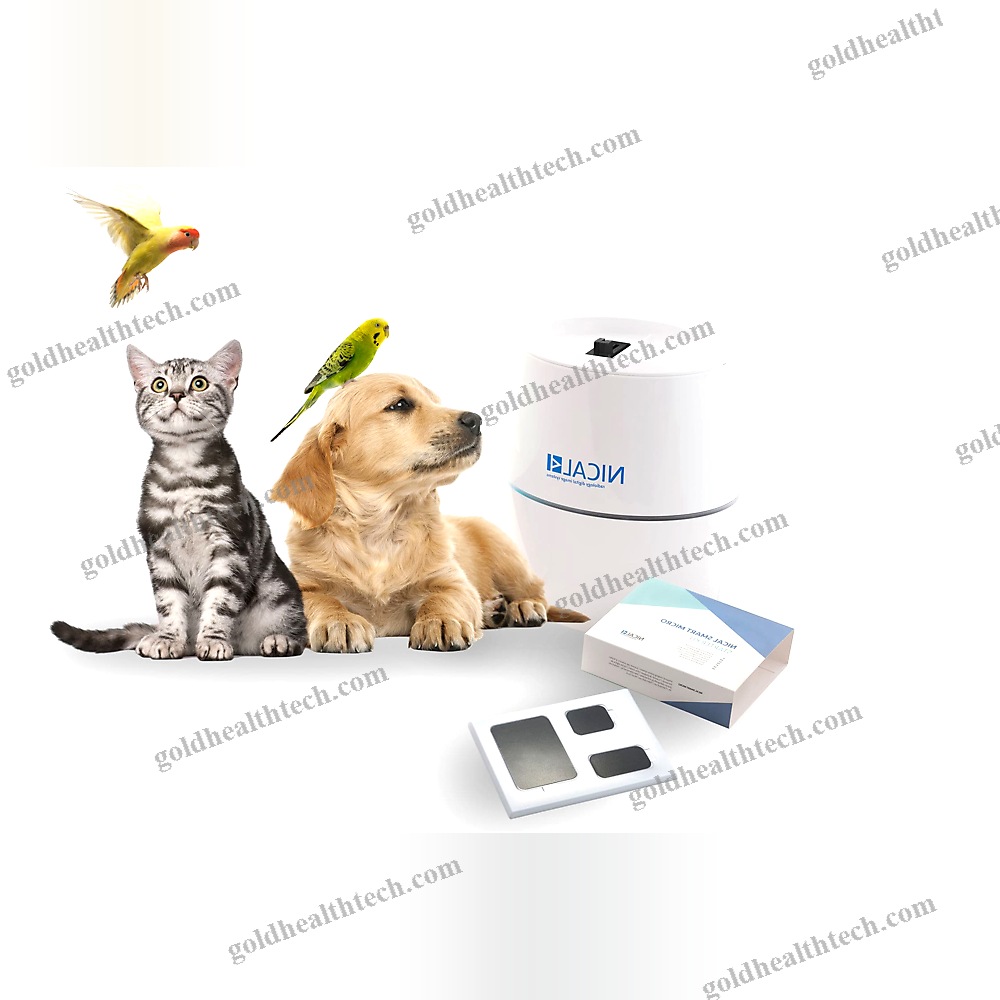 Dental Cr Scanner
