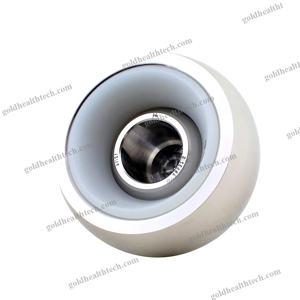 Femoral Head Prosthesis