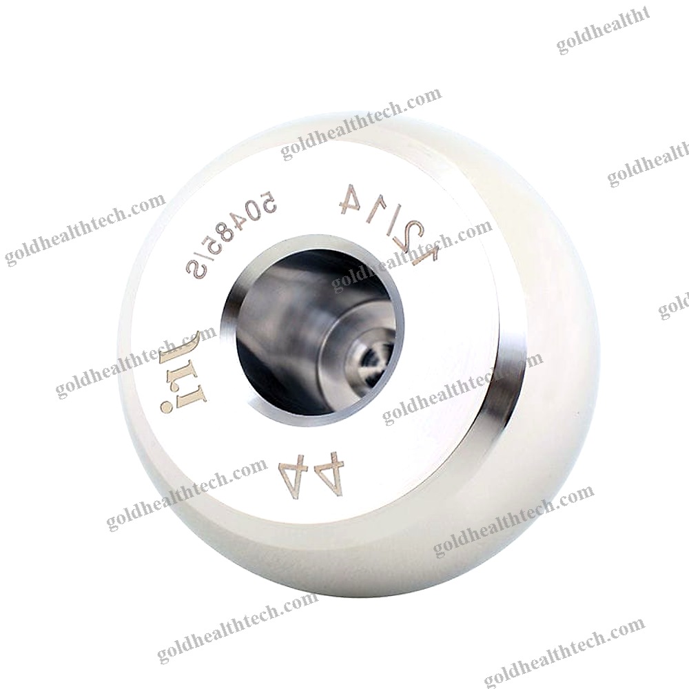 Femoral Head Prosthesis