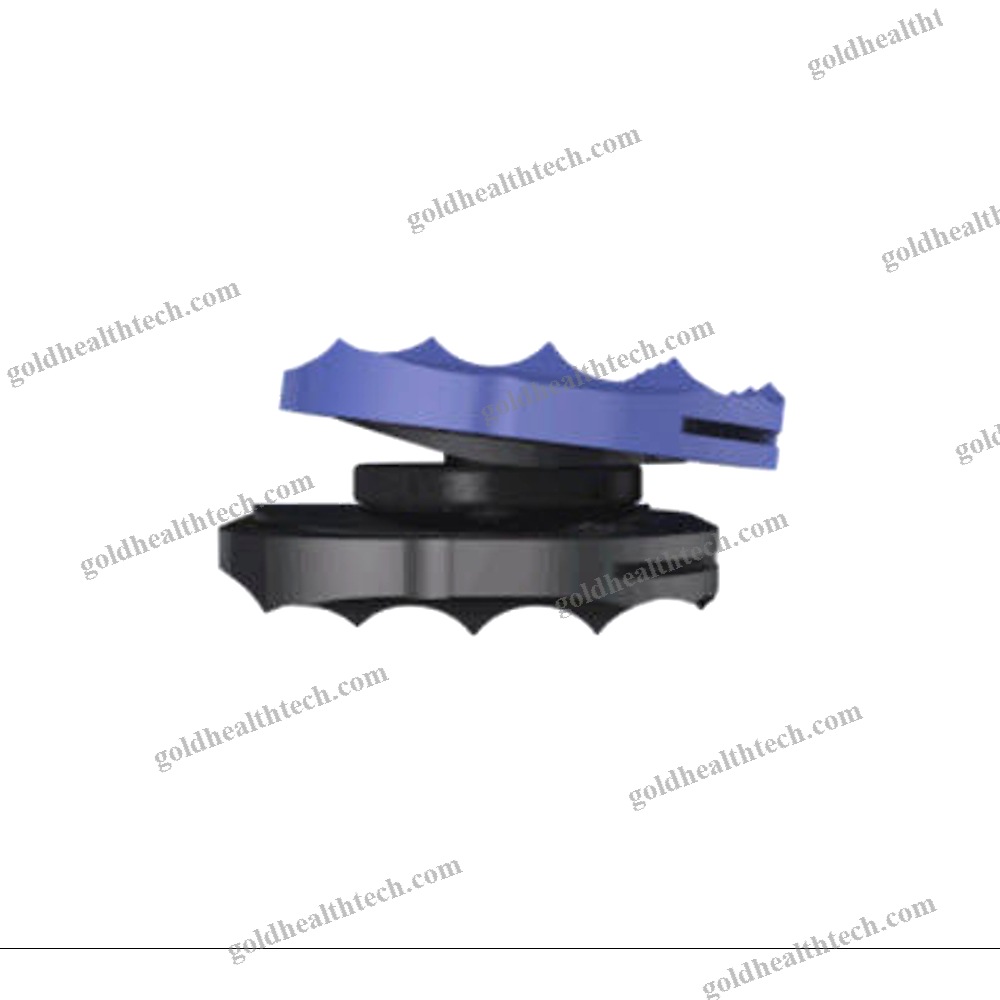 Cervical Disc Prosthesis