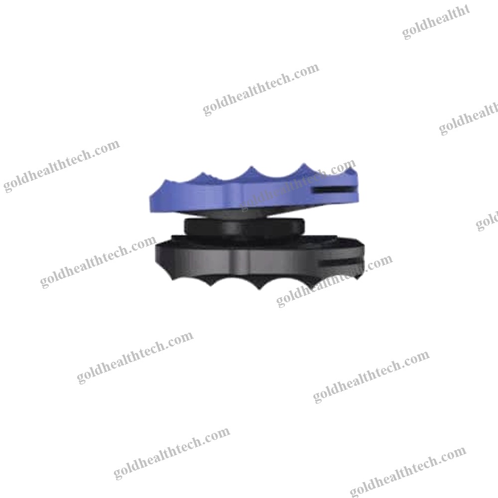Cervical Disc Prosthesis