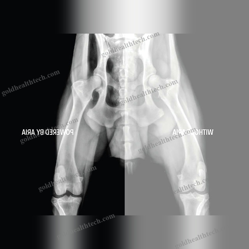 Veterinary Radiography Flat Panel Detector