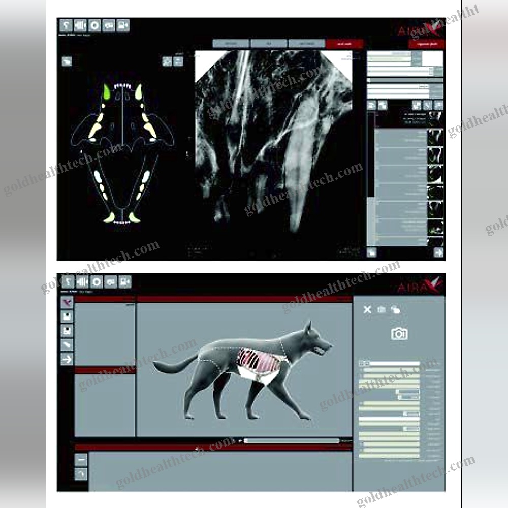 Veterinary Cr Scanner