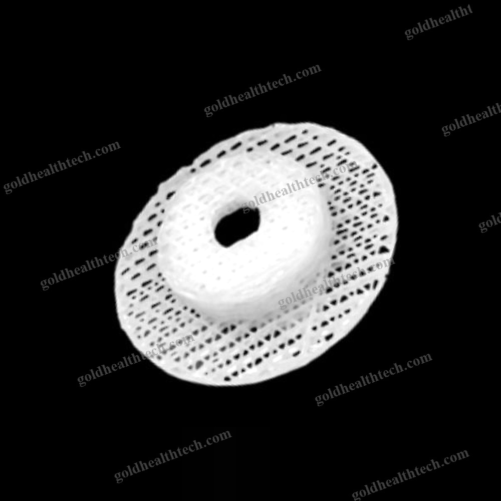 Absorbable Cranial Implant