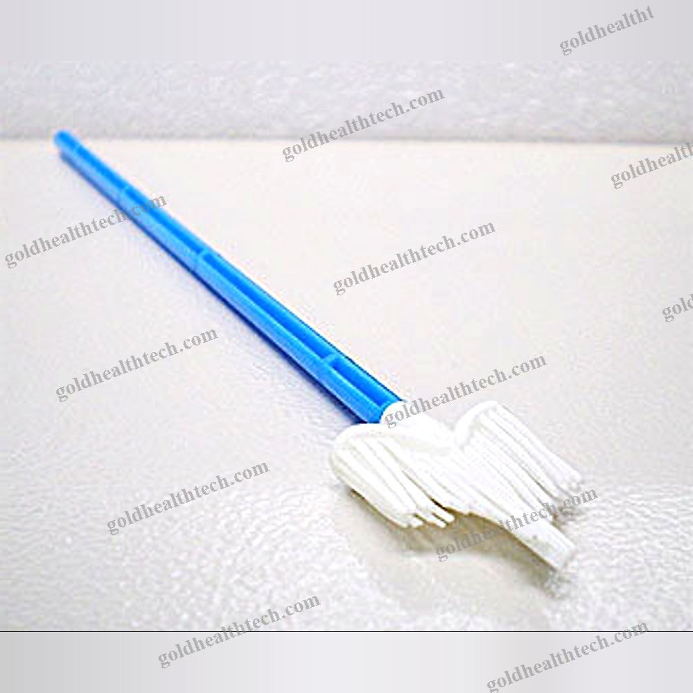Cervical Cytology Brush