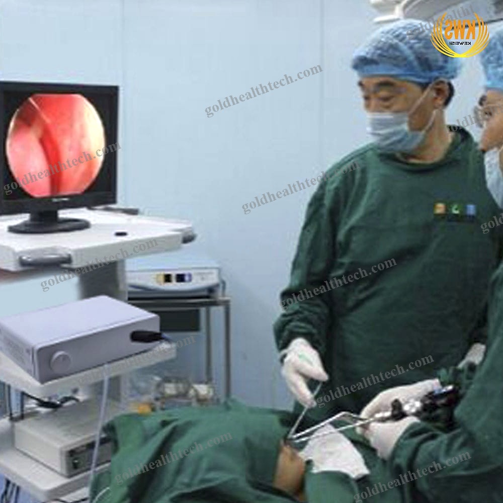 Endoscopy Video Processor