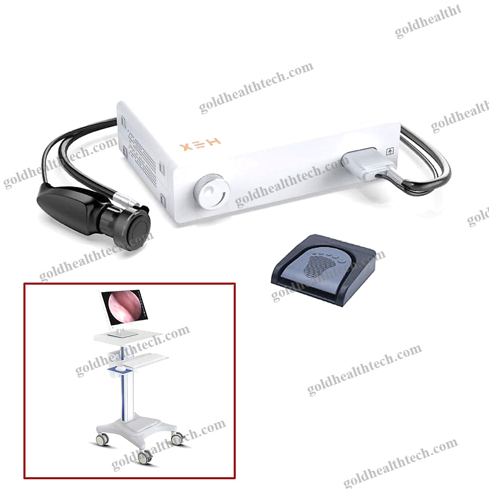 Endoscopy Video Processor