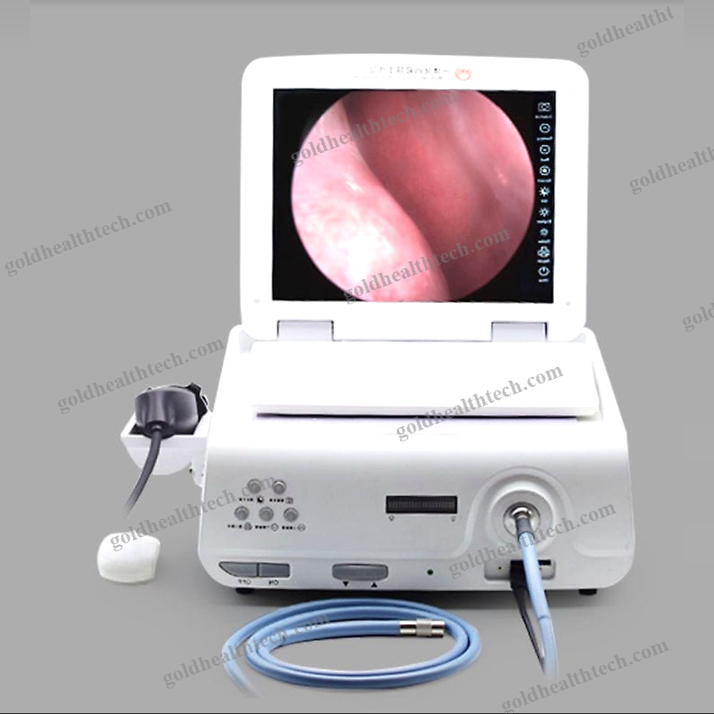 Endoscopy Video Processor