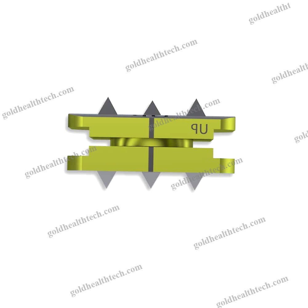 Cervical Disc Prosthesis