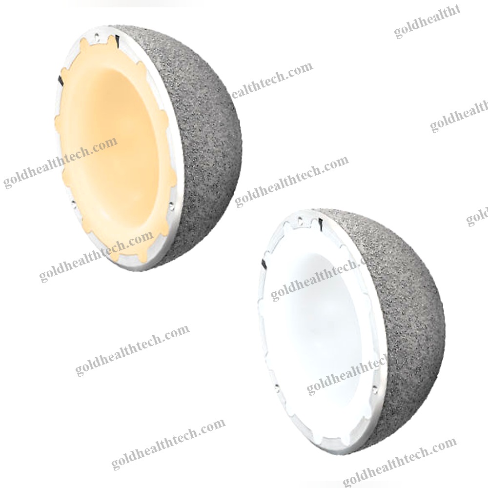 Cementless Acetabular Prosthesis
