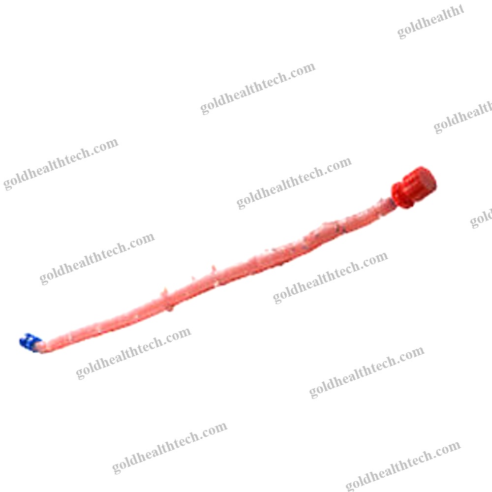 Femoral Vein Vascular Bioprosthesis