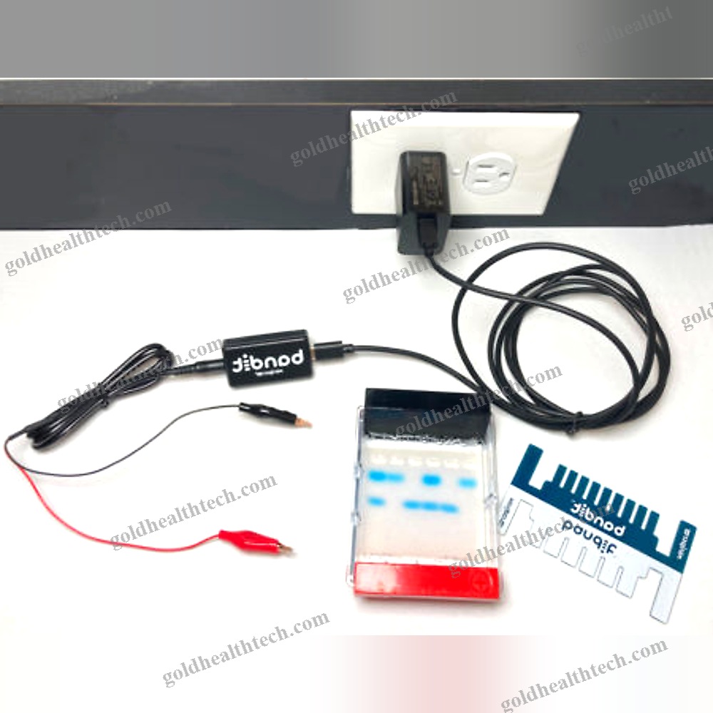 Dna Electrophoresis System