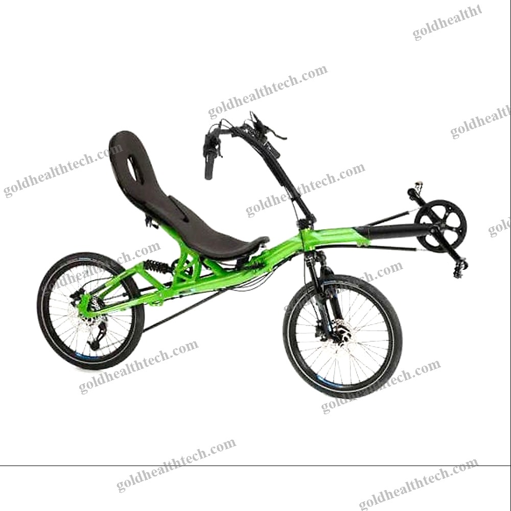 Crank-Propelled Recumbent Bicycle