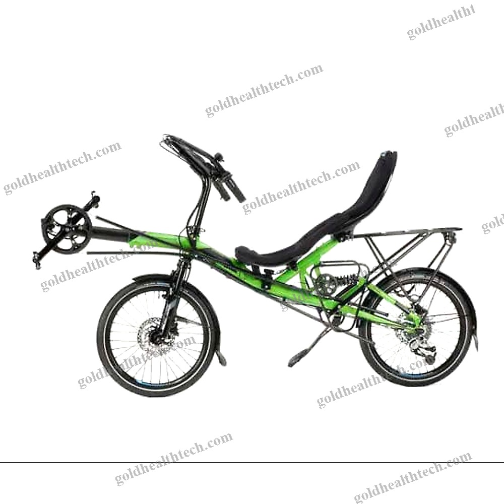 Crank-Propelled Recumbent Bicycle