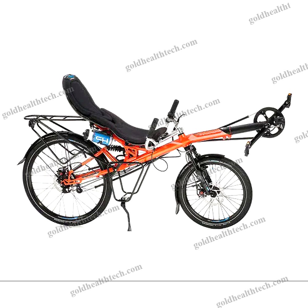 Crank-Propelled Recumbent Bicycle
