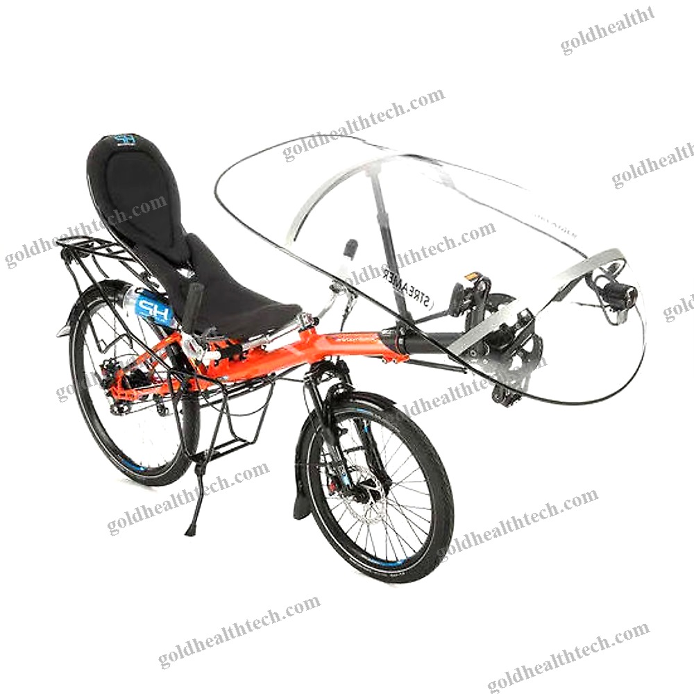 Crank-Propelled Recumbent Bicycle