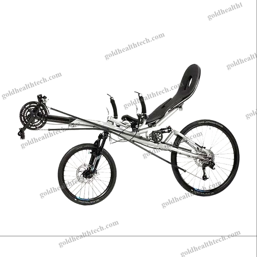 Crank-Propelled Recumbent Bicycle