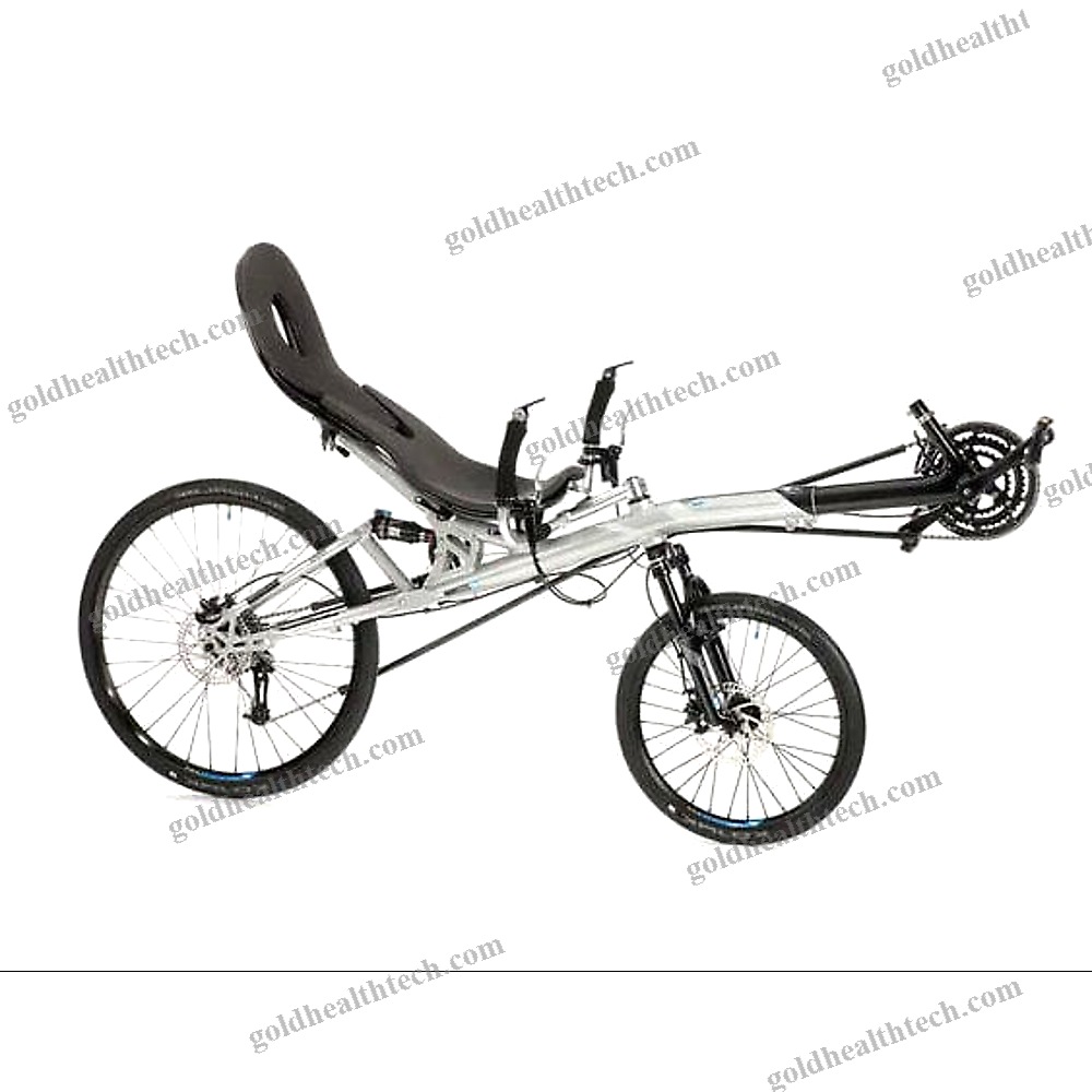 Crank-Propelled Recumbent Bicycle