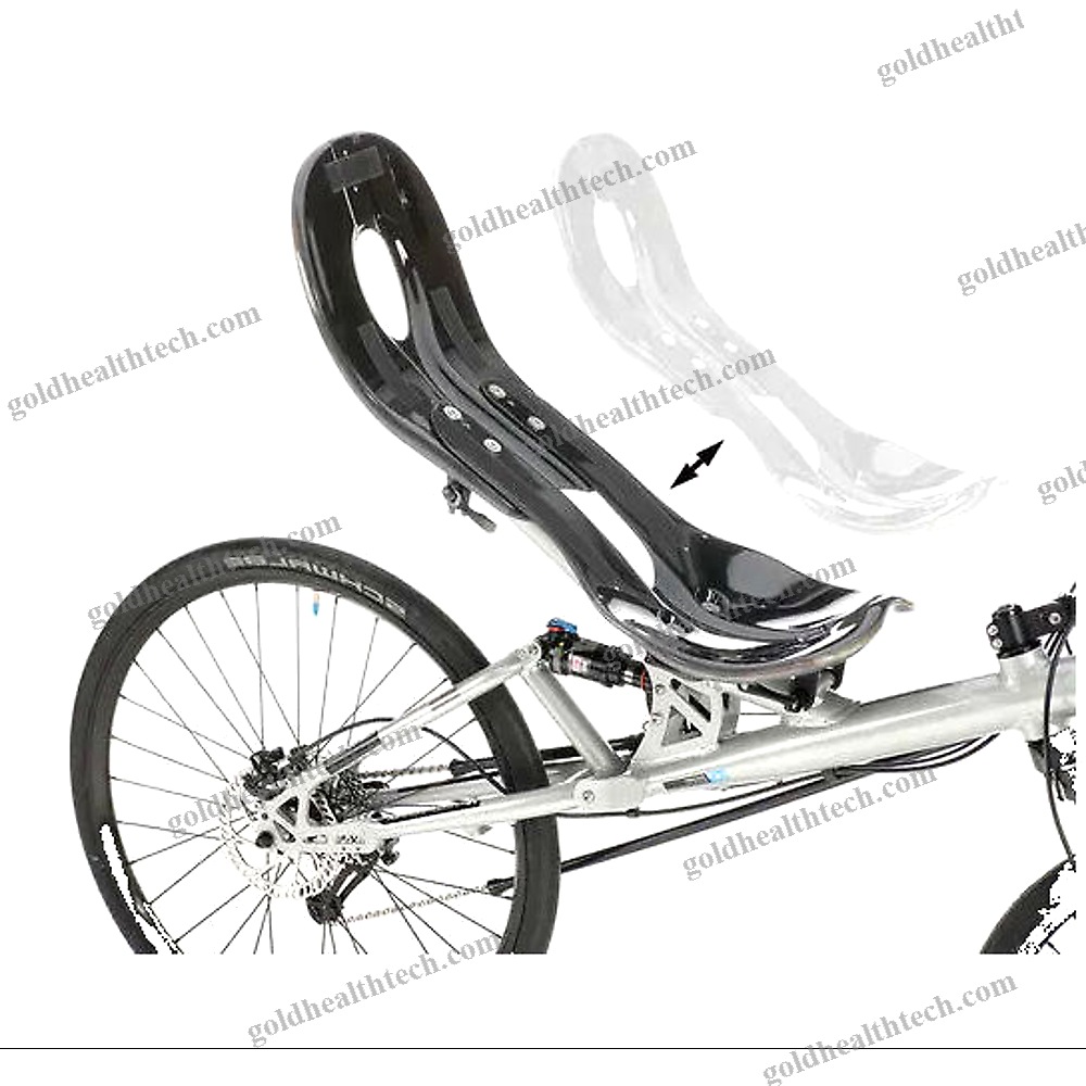 Crank-Propelled Recumbent Bicycle