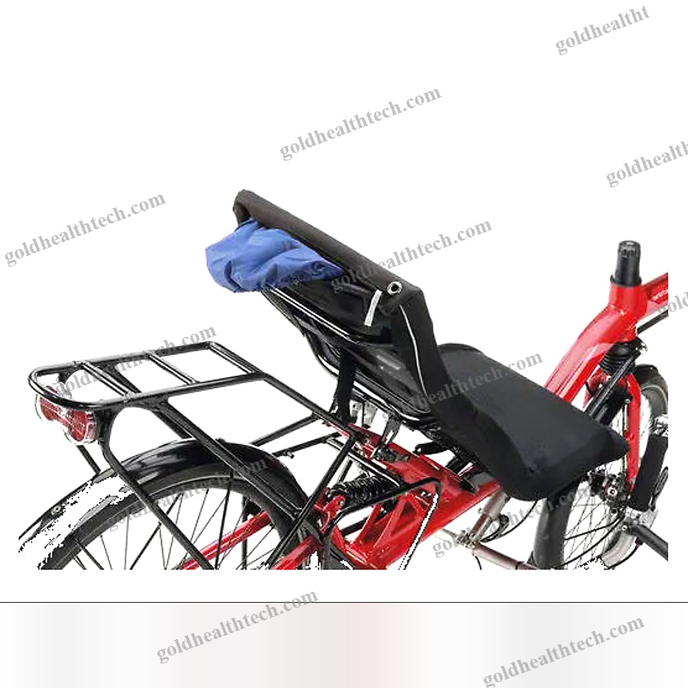 Crank-Propelled Recumbent Bicycle