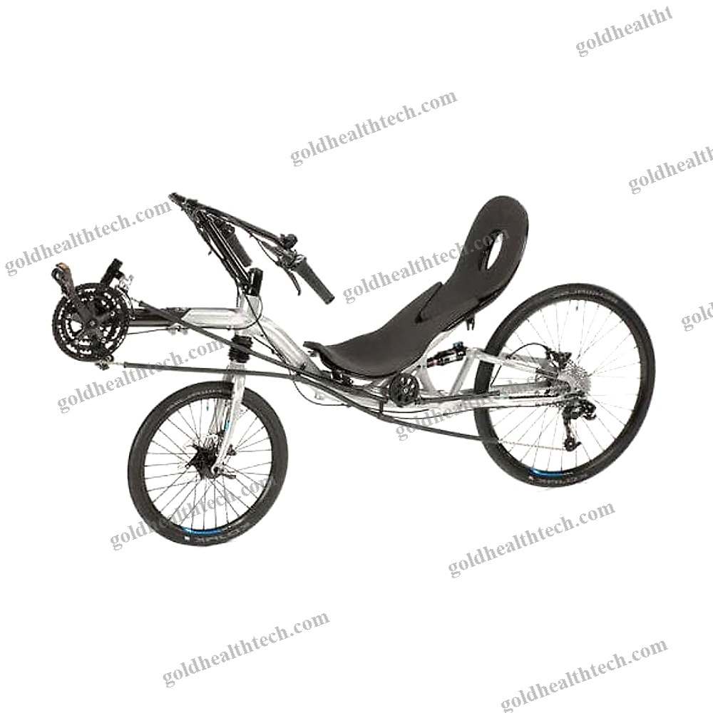 Crank-Propelled Recumbent Bicycle
