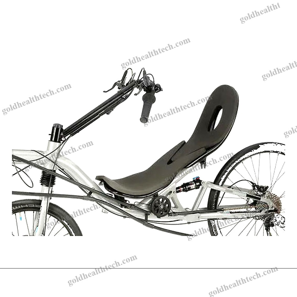 Crank-Propelled Recumbent Bicycle