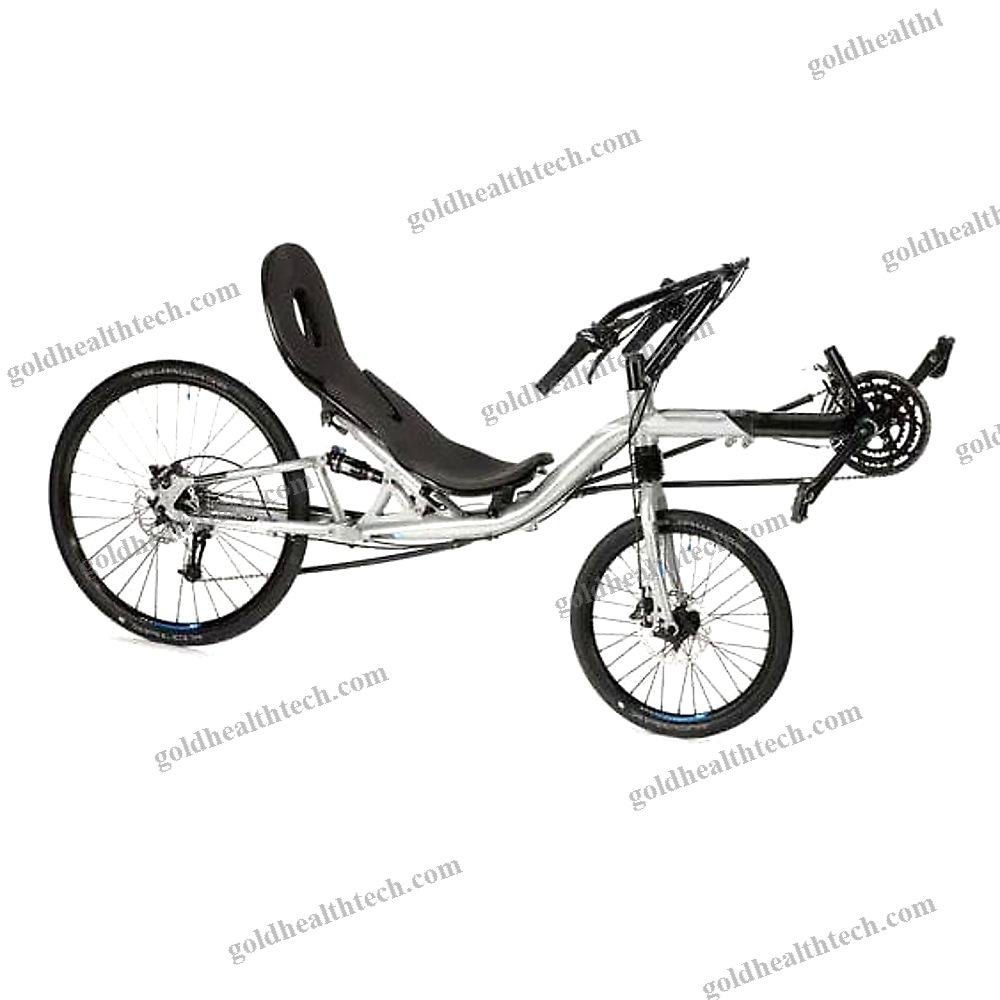 Crank-Propelled Recumbent Bicycle