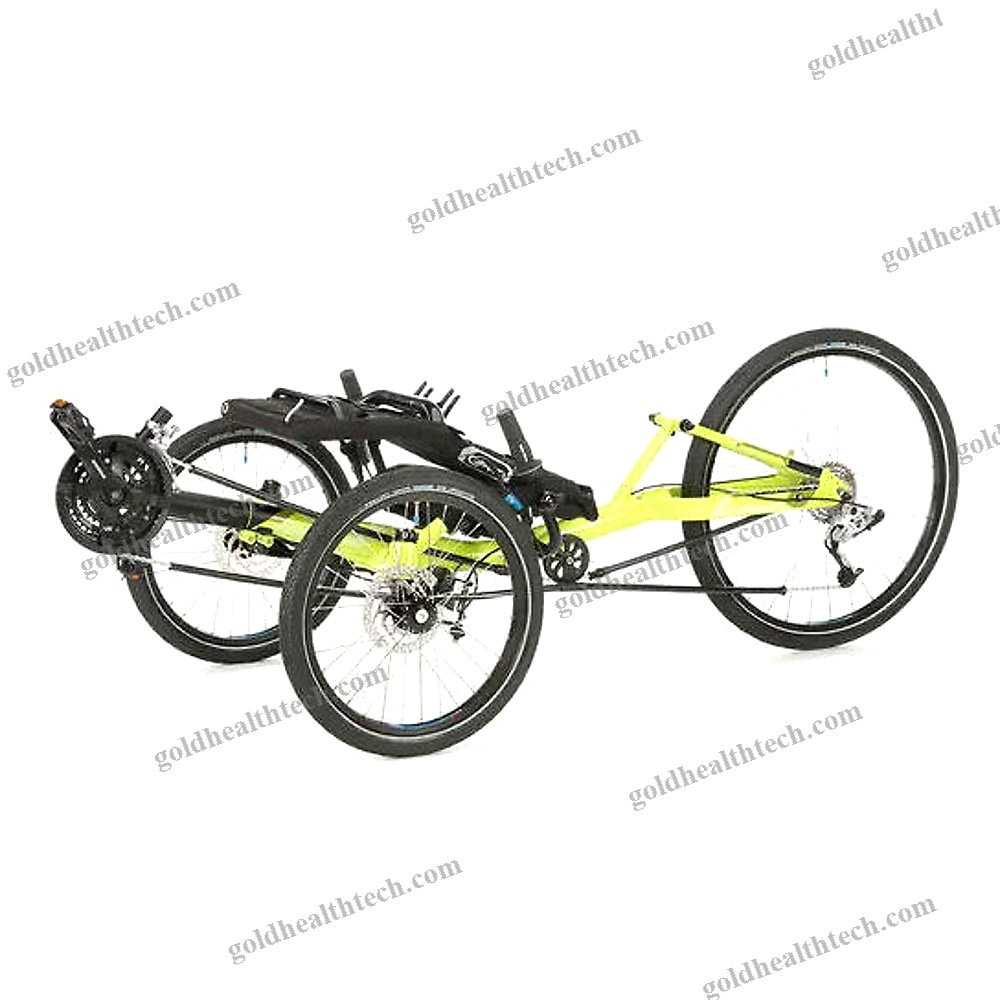 Crank-Propelled Recumbent Trike