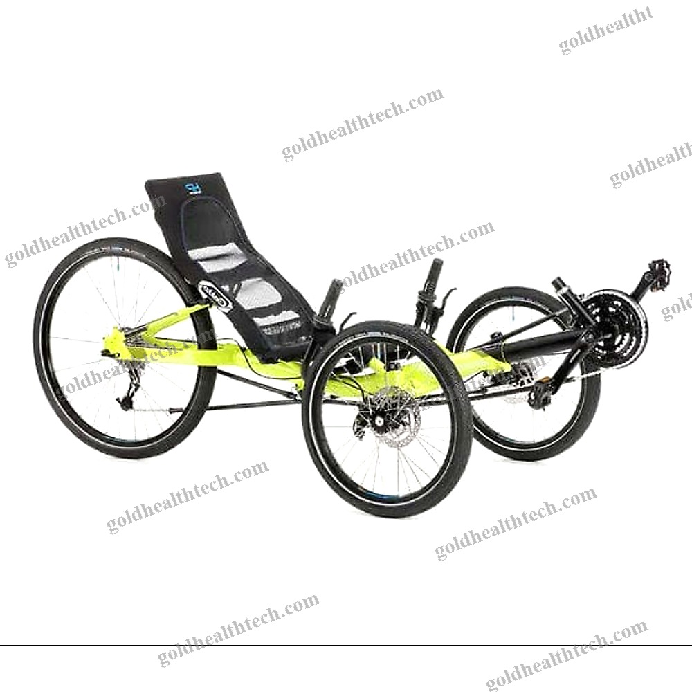 Crank-Propelled Recumbent Trike