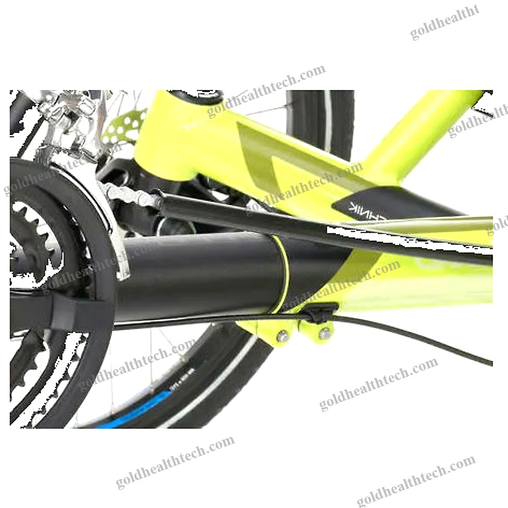 Crank-Propelled Recumbent Trike